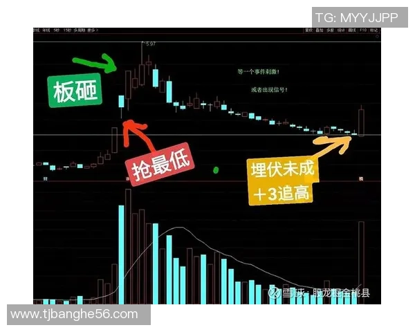 杭州乒乓球队与成都乒乓球队赛后复盘分析比赛节奏与战术对比